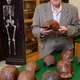 Paleoanthropologist Russell Ciochon with a collection of Homo erectus fossil replicas from Ngandong.